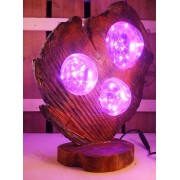 Rustieke lamp uit kersenhout, drijfhout, boomstam | Woodlightz Rustieke lamp uit kersenhout, drijfhout, boomstam | Woodlightz